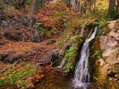 photo thumbnail #14