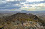 photo thumbnail #12
