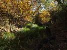 photo thumbnail #15