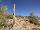 photo thumbnail #11