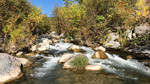 photo thumbnail #7