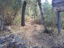 photo thumbnail #13