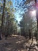 photo thumbnail #13