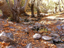 photo thumbnail #9