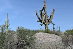photo thumbnail #14