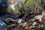 photo thumbnail #2