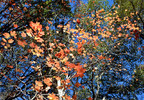 photo thumbnail #15