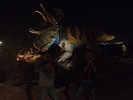 photo thumbnail #13