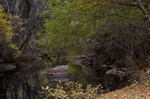 photo thumbnail #9