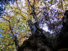 photo thumbnail #15