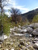 photo thumbnail #15