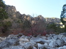 photo thumbnail #7