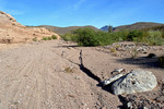 photo thumbnail #2