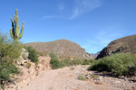 photo thumbnail #3