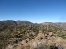 photo thumbnail #3