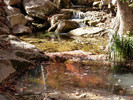 photo thumbnail #11