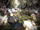 photo thumbnail #12