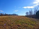 photo thumbnail #15