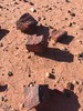 photo thumbnail #3