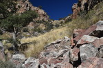 photo thumbnail #3