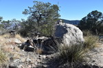 photo thumbnail #9