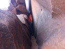 photo thumbnail #11
