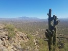 photo thumbnail #1