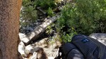 photo thumbnail #7