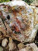 photo thumbnail #7