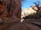 photo thumbnail #13