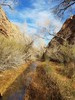 photo thumbnail #15