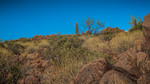 photo thumbnail #11