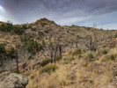 photo thumbnail #7