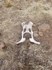 photo thumbnail #9