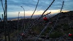 photo thumbnail #1