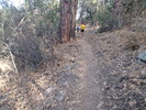 photo thumbnail #10