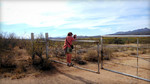 photo thumbnail #1
