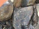 photo thumbnail #14