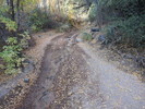 photo thumbnail #7