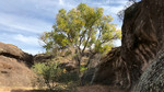 photo thumbnail #7