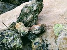 photo thumbnail #9