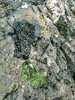 photo thumbnail #14