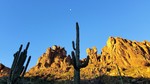 photo thumbnail #3