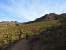 photo thumbnail #3