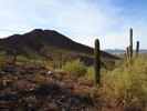 photo thumbnail #5
