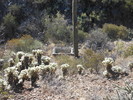 photo thumbnail #13