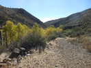 photo thumbnail #14