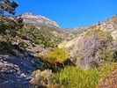 photo thumbnail #12
