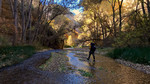 photo thumbnail #4