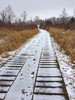photo thumbnail #8